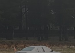 Bmw e 36 3.0 rally 