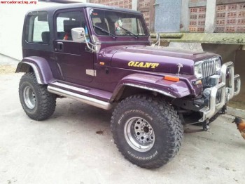 Vendo despiece jeep wrangler 4.0 