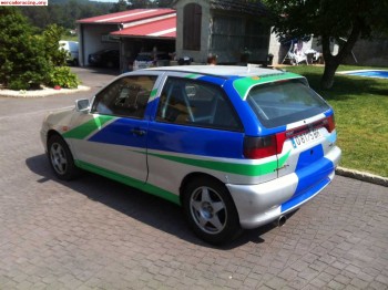 Vendo cambio ibiza tierra