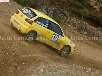 Seat ibiza 1.8t copa