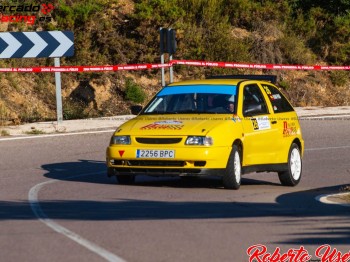Seat ibiza asfalto