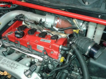 Se vende león mk1 de montaña