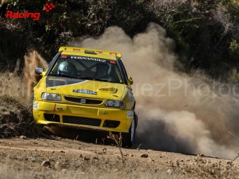Se vende seat ibiza rally