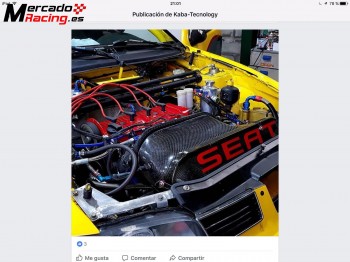 Seat ibiza kit car
