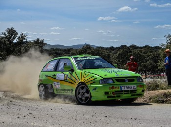 Seat ibiza 2.0 gti 16v cupra 
