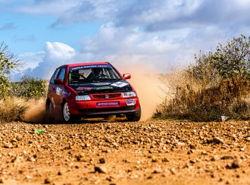 Seat ibiza cupra 2.0 abf