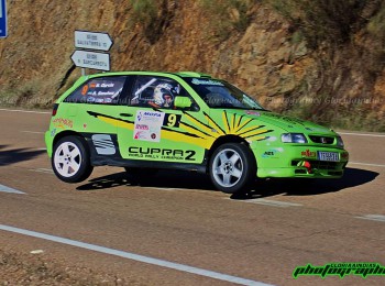 Seat ibiza 2.0 gti 16v cupra 