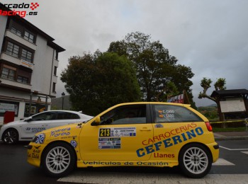 Seat ibiza 1.8 t de la copa