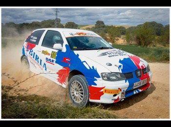 Ibiza 1.8t de la copa