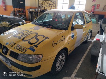 Ibiza tdi rally