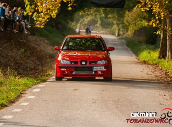 Seat ibiza cupra r 