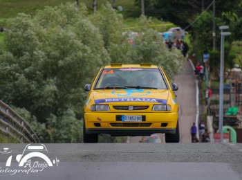 Seat ibiza 2.o 16v 201cv abf