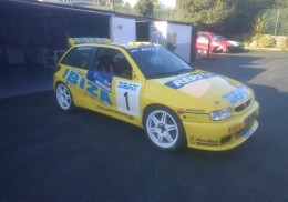 Seat ibiza kit car 