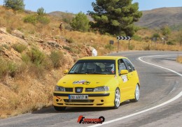 Seat ibiza cupra rally