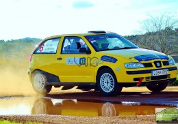 Ibiza cupra copa 