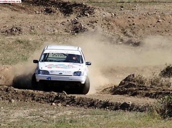 Ford fiesta de tierra economico