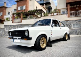 1979 ford escort rs2000 mk2 grupo 2 fia pasport