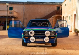 Escort mk2 full grp4 htp