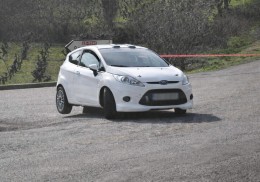 Ford fiesta r2