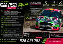 Ford fiesta rally 4 muy buen estado
