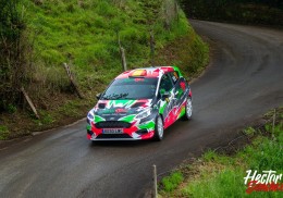 Ford fiesta rally4