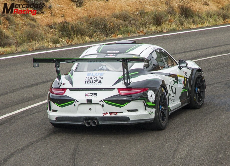 Porsche 991.1 Cup Hill Climb-Rallye