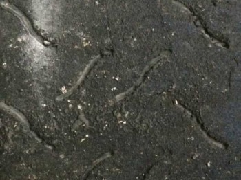 Llantas 205 gti con slicks hankook