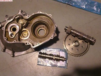 Recambio caja secuencial sadev stc