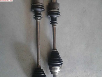 Palieres sadev clio sport raggnoti