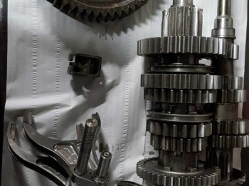 Piñoneria caja pankl / drexler 