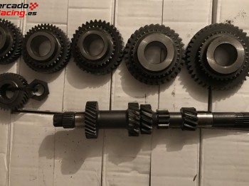 Relación ma bacci romano