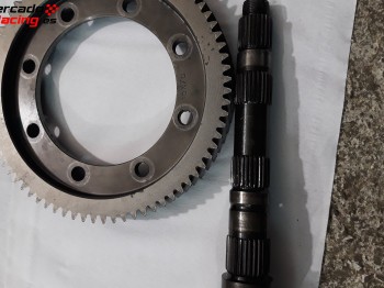 Grupo corto be4r 15x76