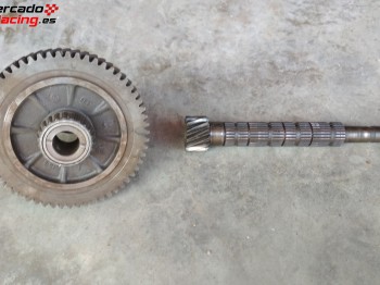 Grupo corto 13 59 para ma de c15