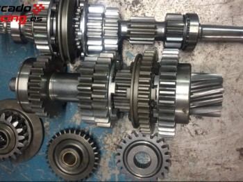 Relación de dientes rectos be a crabots peugot-citroen