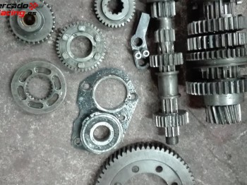 Relacion cerrada de dientes rectos omir para caja ma