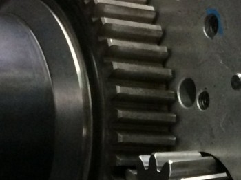 Secuencial puppo 007