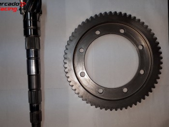 Grupo 12x61 cajas be4