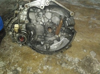 Ma de dientes rectos quaife