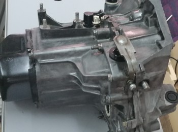 M. a grupo corto y relación (varias opciones) 