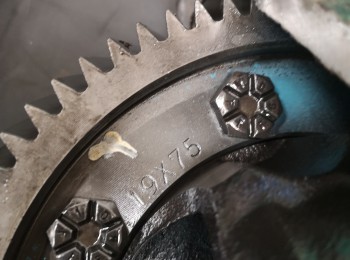 Grupo 19x75 de 206xs