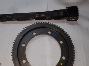 Grupo 17x77 cajas be4r