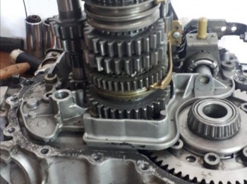 Caja ma dientes rectos 