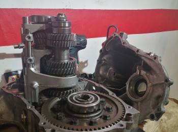 Caja de la copa - honda 