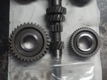 Relación cerrada monteferri