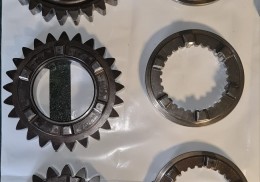 Piñones y crabots samsonas