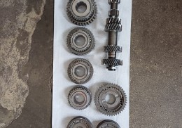 Piñoneria bacci romano