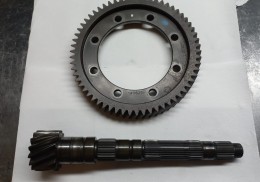 Grupo corto be4r 14x62