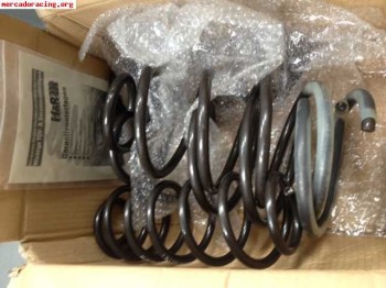 Muelles h&r clio sport/307-c4-ford fiesta mk6