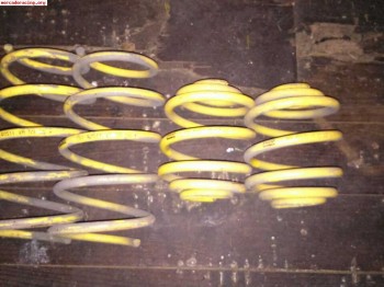 Muelles apex clio sport