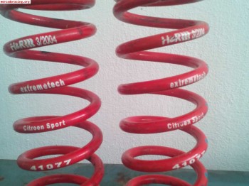 Se venden muelles c2 copa